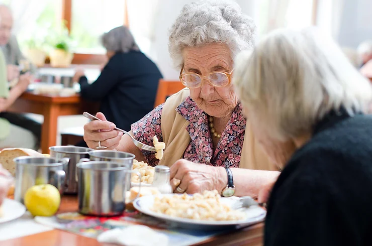 Nutrition for the Elderly